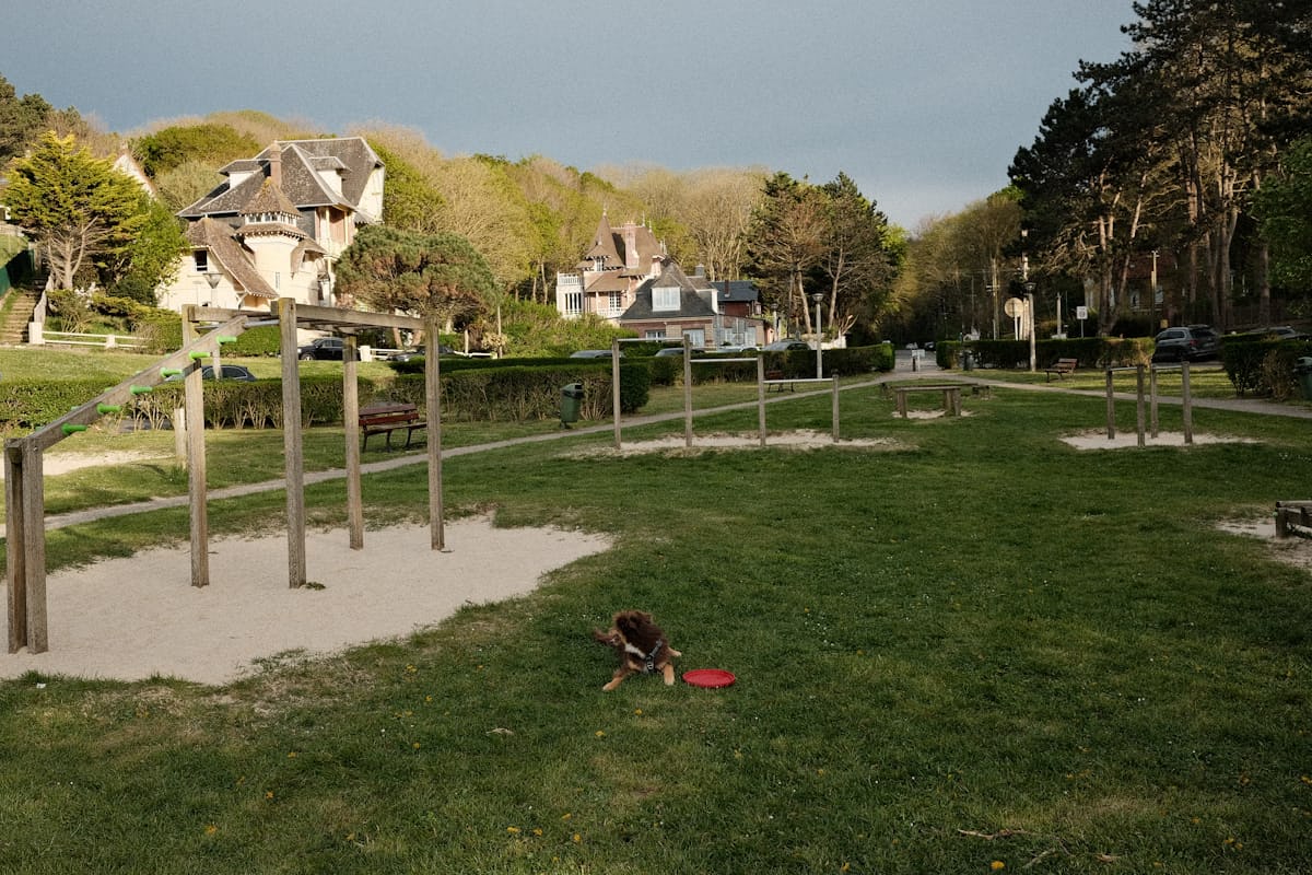 海角社区在线登录